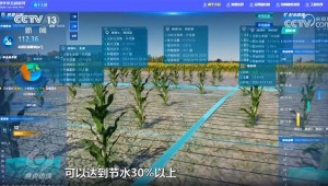 3月16日，央视新闻频路报路，今日，疏勒河灌区多个渠首陆续开闸，借助数字孪生等技术，134万亩农田得以畅饮“智慧”水，实现了水资源的高效利用和农田的精准灌溉。