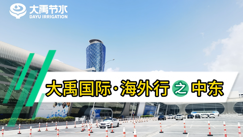大禹国际·海表行之中东
