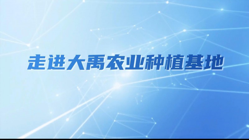 大禹农业| 多元化种植基地矩阵，索求农业现代化新蹊径