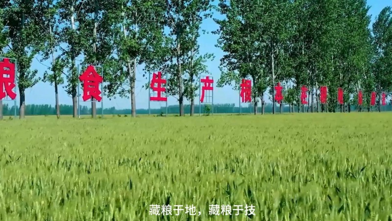 米兰体育：破解高尺度农田建设难题，扛牢粮食安全沉担，以科技与责任交出了一份创新答卷。